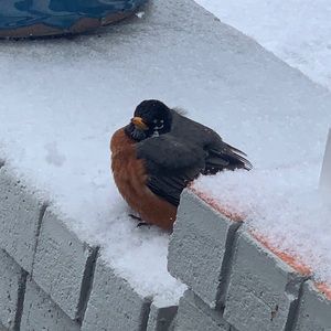 Meet your Posher, Aleta